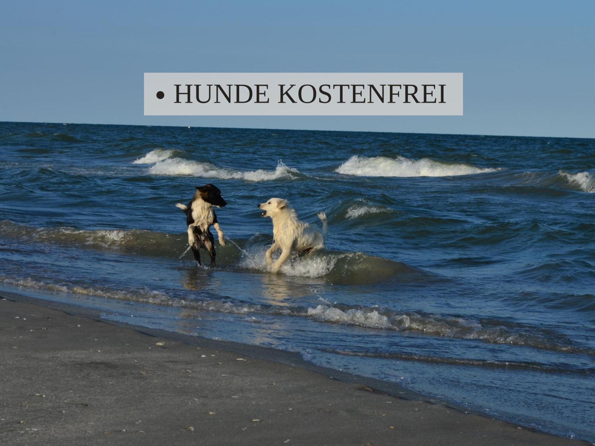Haus Krabbe Apartments, Zentral Gelegen Im Idyllischen Nordseeort Zwischen Bremerhaven Und Cuxhaven, Hunde Kostenfrei Willkommen, Hauseigene Kostenfreie Parkplaetze 뢰멘 외부 사진